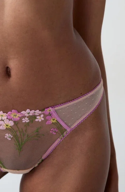 Etam Douceur Embroidered Tulle Thong In Pink