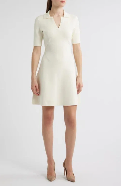 Hugo Boss Boss Felita Fit & Flare Sweater Dress