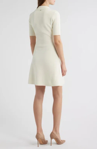 Hugo Boss Boss Felita Fit & Flare Sweater Dress