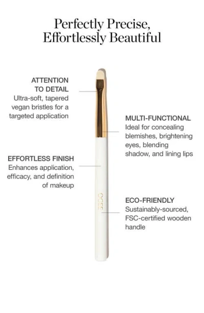 Ogee The Precision Brush