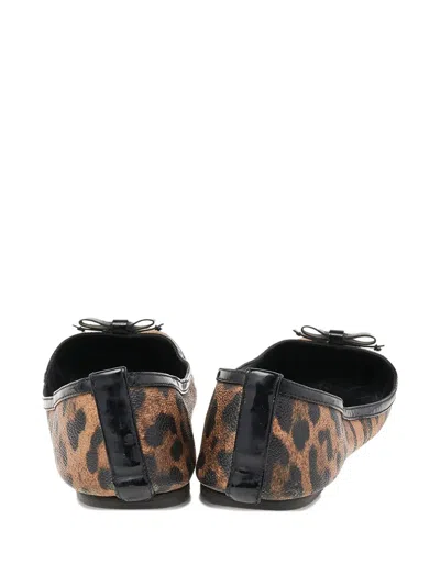 Pre-owned Dolce & Gabbana Leopard-print Ballet Flats