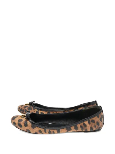 Pre-owned Dolce & Gabbana Leopard-print Ballet Flats