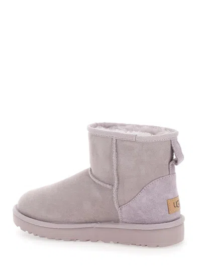 Ugg Light Gray Mini Boots In Suede Woman