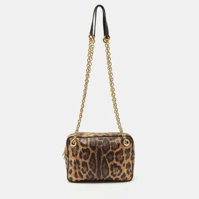 Pre-owned Dolce & Gabbana Brown Leopard Print Coated Canvas Chain Shoulder Bag