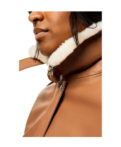 Loewe Nappa Aviator Jacket Jackets Brown In Brown