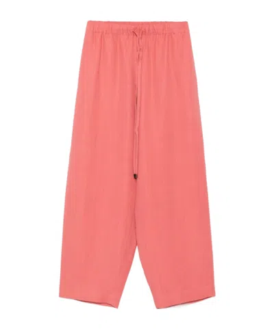 Antonelli Elastic Waistband Casual Pants In Pink