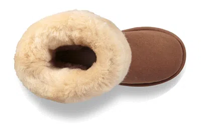 Ugg (gs)  Classic Ii Tall Boot 'chestnut' In Brown