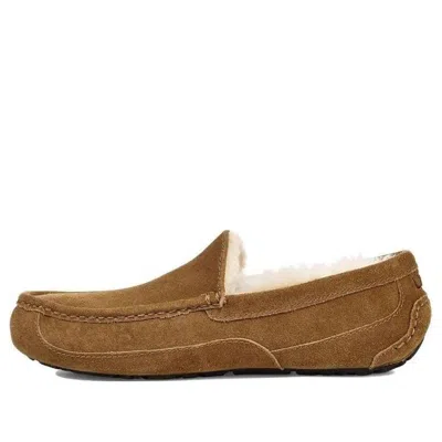 Ugg Ascot Slipper One Pedal Athleisure Casual Sports Shoes Fleece Lined In Multi