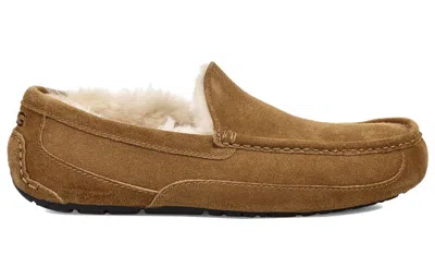 Ugg Ascot Slipper One Pedal Athleisure Casual Sports Shoes Fleece Lined In Multi