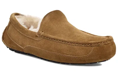 Ugg Ascot Slipper One Pedal Athleisure Casual Sports Shoes Fleece Lined In Multi