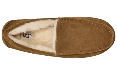 Ugg Ascot Slipper One Pedal Athleisure Casual Sports Shoes Fleece Lined In Multi