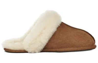 Ugg Scuffette Ii Slippers With Wool Lining Shoes In Brown