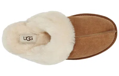 Ugg Scuffette Ii Slippers With Wool Lining Shoes In Brown