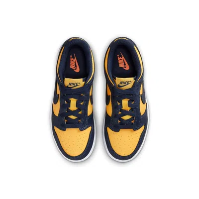 Nike Dunk Low Sneakers In Blue