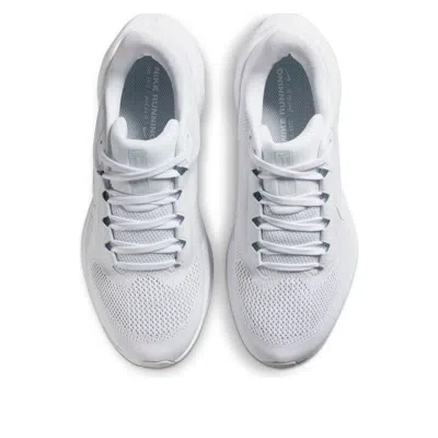 Nike Pegasus 41 In Multi