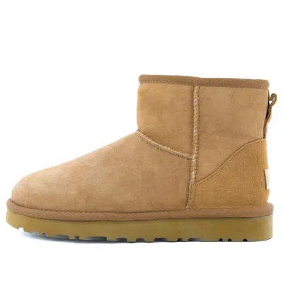 Ugg (wmns)  Classic Mini Ii Boot 'chestnut' In Brown