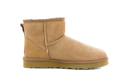 Ugg (wmns)  Classic Mini Ii Boot 'chestnut' In Brown