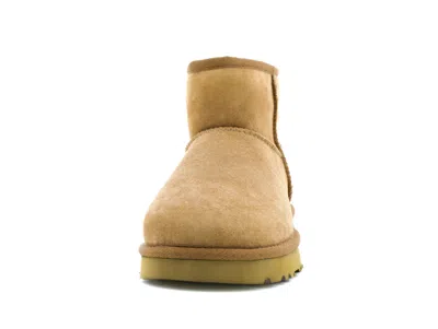 Ugg (wmns)  Classic Mini Ii Boot 'chestnut' In Brown