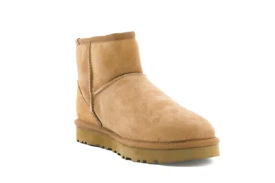 Ugg (wmns)  Classic Mini Ii Boot 'chestnut' In Brown