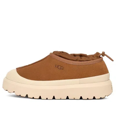 Ugg Mens Mens Tasman Weather Suede Mules In Brown