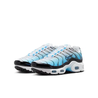 Nike (gs)  Air Max Plus 'ice' In Multi
