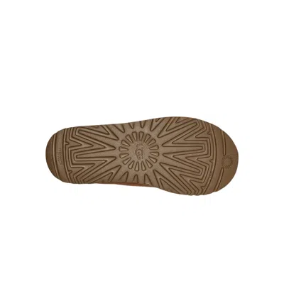Ugg Tasman Ii | Brun | Taille: In Brown