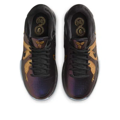 Nike (gs)  Kobe 5 Protro 'year Of The Mamba Eggplant' In Multi
