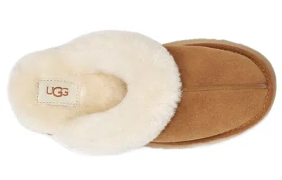 Ugg Disquette In Brown