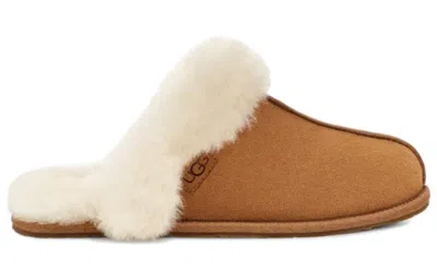 Ugg Scuffette Ii Slippers With Wool Lining Shoes In Brown