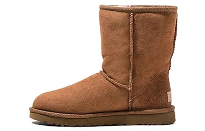 Ugg Classic Ii Chestnut In Brown