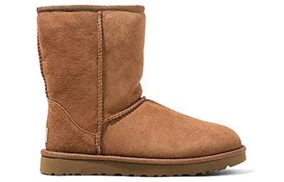 Ugg Classic Ii Chestnut In Brown