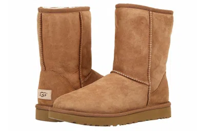 Ugg Classic Ii Chestnut In Brown