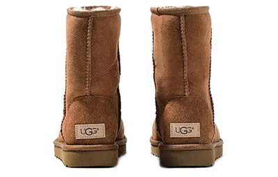 Ugg Classic Ii Chestnut In Brown