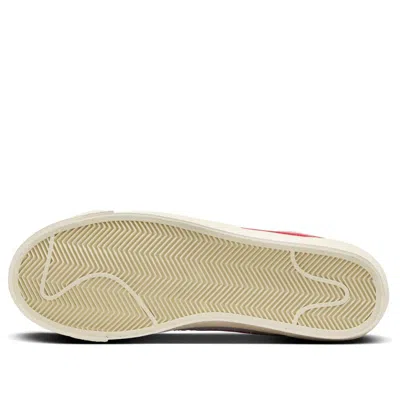 Nike Blazer Low '77 Sneaker In Gray