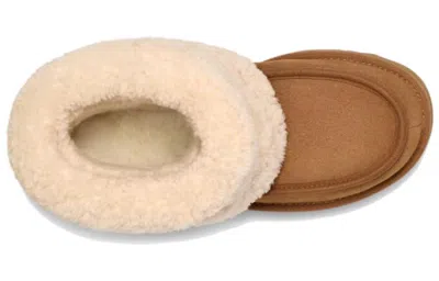 Ugg (wmns)  Mini Braid Boot 'chestnut' In Brown