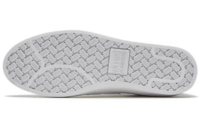 Converse Pro Leather Low 'triple White' In Multi