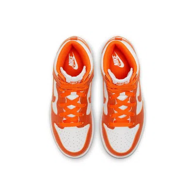 Nike Syracuse Dunk High Pro