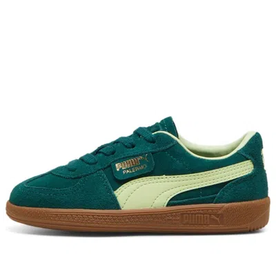 Puma (ps)  Palermo 'dark Myrtle Cool Cucumber' In Multi