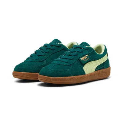 Puma (ps)  Palermo 'dark Myrtle Cool Cucumber' In Multi