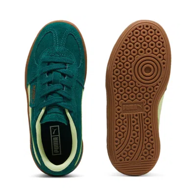 Puma (ps)  Palermo 'dark Myrtle Cool Cucumber' In Multi