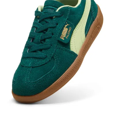 Puma (ps)  Palermo 'dark Myrtle Cool Cucumber' In Multi