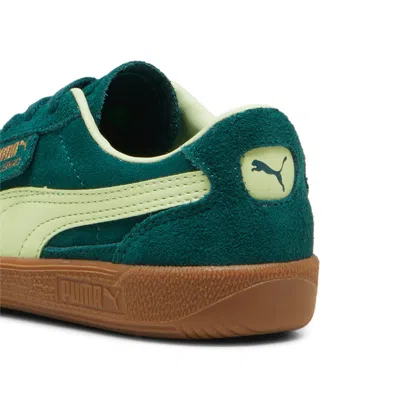 Puma (ps)  Palermo 'dark Myrtle Cool Cucumber' In Multi