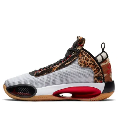 Air Jordan (gs)  34 X Jayson Tatum 'welcome To The Zoo' In Multi