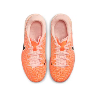 Nike (gs)  Jr Legend Academy Tf Turf 'united Pack - Guava Ice Black' In Multi