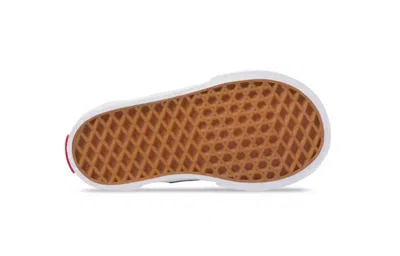 Vans (td)  Authentic Elastic Lace 'black' In Multi