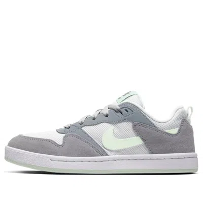 Nike (wmns)  Sb Alleyoop 'grey White' In Multi