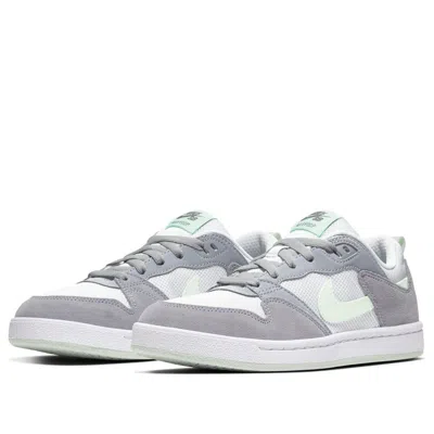 Nike (wmns)  Sb Alleyoop 'grey White' In Multi