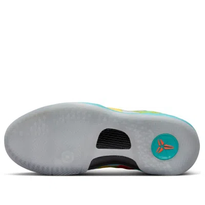 Nike (gs)  Kobe 8 Protro 'venice Beach' In Multi
