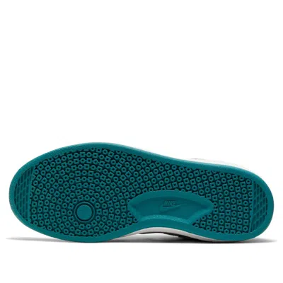 Nike (gs)  Sb Alleyoop 'grey Geodes Teal' In Gray