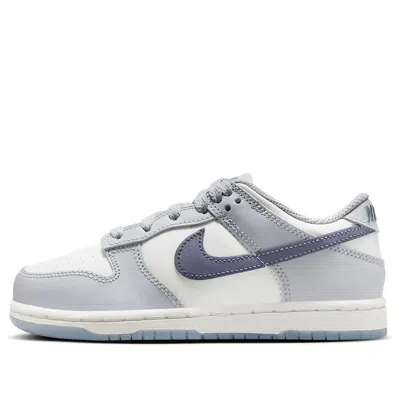 Nike Dunk Low Retro Sneaker In Gray